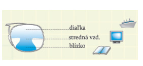 šošovka progress